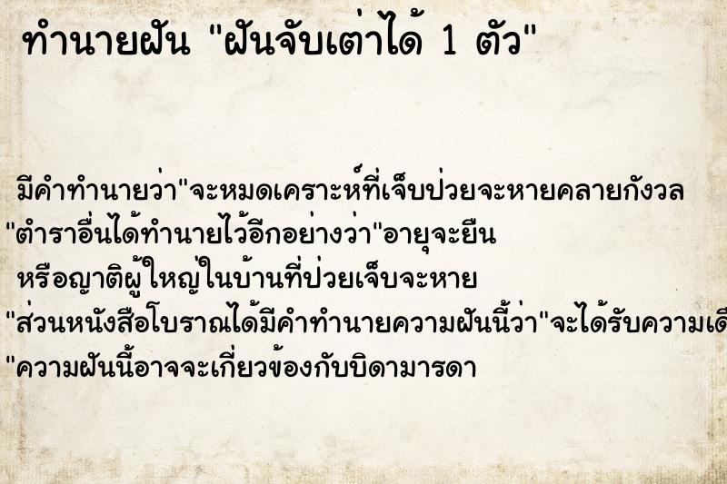 ทำนายฝันทำนายฝันฝันจับเต่าได้1ตัว